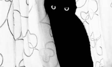 202734439_test_media_1620x973.jpg